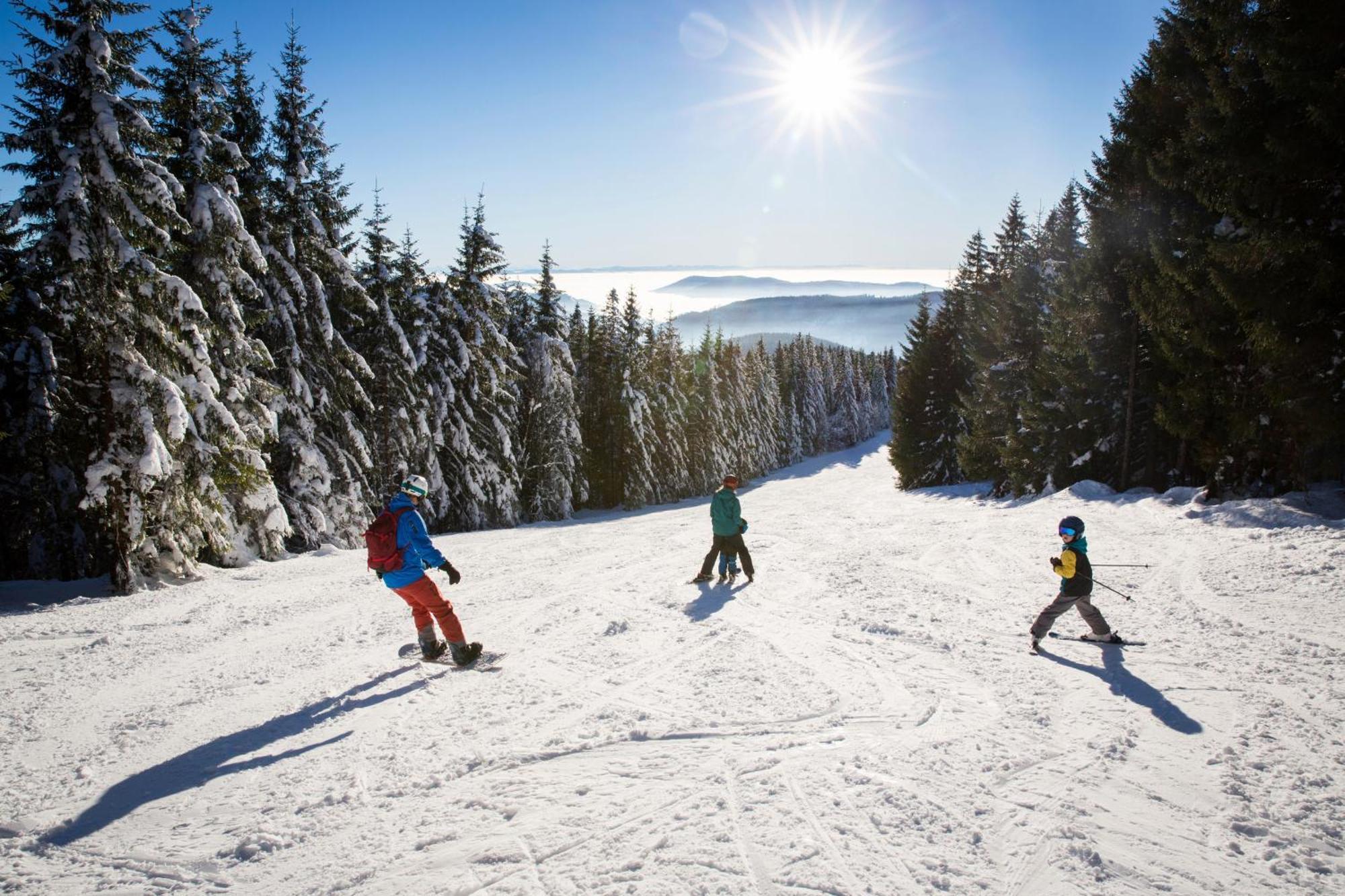 Drei Tannen - Wohnung 12 - Apartmenthaus, Titisee, Nahe Badeparadies ภายนอก รูปภาพ