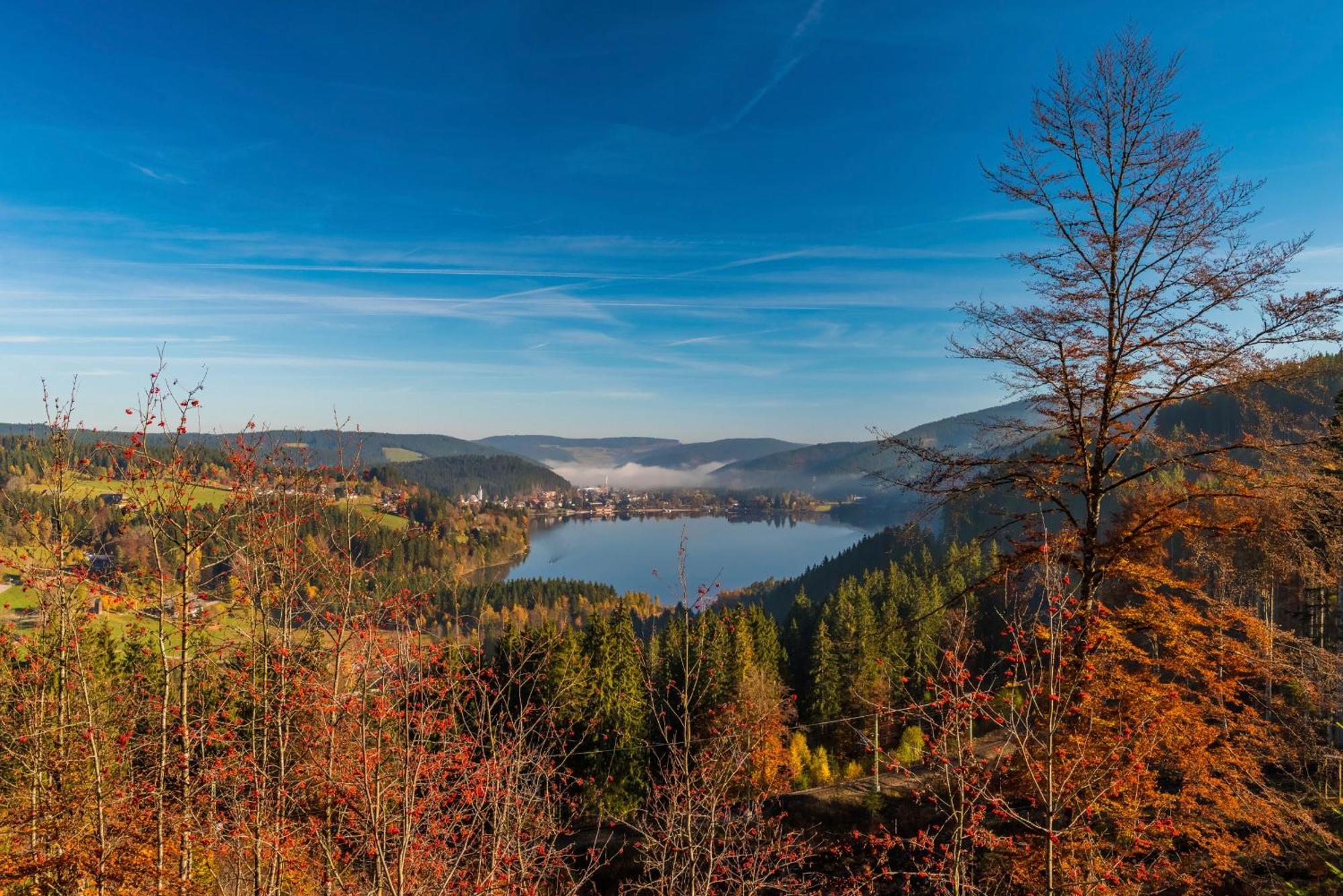 Drei Tannen - Wohnung 12 - Apartmenthaus, Titisee, Nahe Badeparadies ภายนอก รูปภาพ